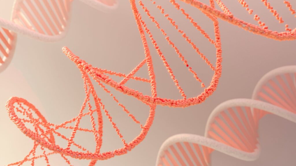 somon dna